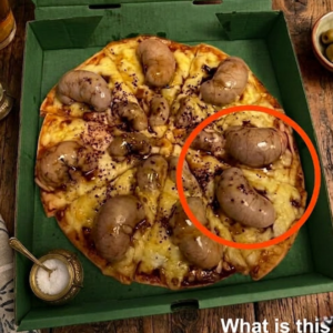 I Ordered a Pizza in the Evening—When the Delivery Driver Brought It to Me, a Simple Moment Unfolded Into an Everyday Story of Convenience, Routine, and Small Interactions That Quietly Connect Strangers Through Service, Timing, and the Ordinary Details of Daily Life