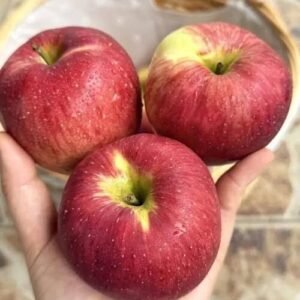 Doctors Reveal That Eating Apples Regularly Can Transform Your Health: From Sharper Digestion and Lower Cholesterol to Better Heart, Gut, and Immune Function — Discover What Happens if You Make Apples a Daily Habit