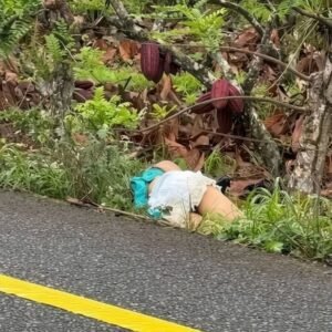 Young Woman Found Dead in Suspected Targeted Attack