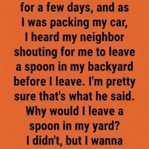 The Truth Behind Why People Say “Always Leave a Spoon of Sugar in Your Backyard for Bees”