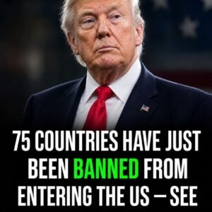 U.S. Visa Freeze Hits 75 Countries