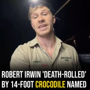Robert Irwin ‘death-rolled’ by 14-foot crocodile named after Jimmy Fallon