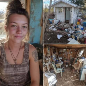 Tiny Homes Explained: Simplicity, Sustainability, and Purposeful Living
