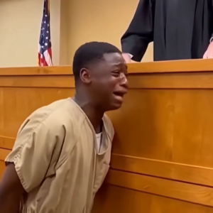 A Tense Silence Filled the Courtroom Before the Judge Announced a Life Sentence
