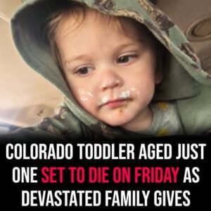 Colorado Toddler Heartbreaking Update