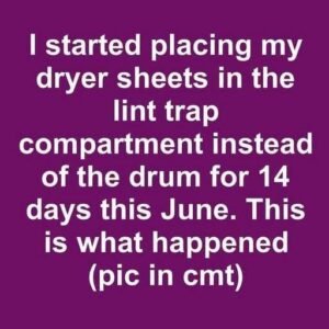 I started placing my dryer sheets in the lint trap compartment instead of the drum for 14 days this June. This is what happened