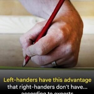 The Fascinating Science Behind Left-Handedness