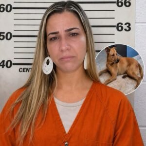 Police Make Arrest After Strange Wildlife Incident in U.S. Woodland Area