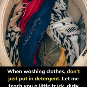 STOP DESTROYING YOUR CLOTHES: The Plastic Bottle Hack That Will Save Your Wardrobe Forever