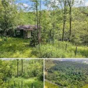 ,000 No neighbors, no noise. Price cut: K…See More