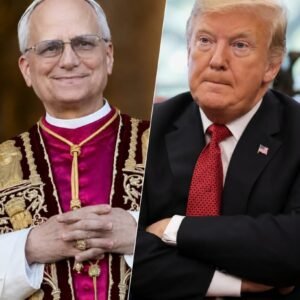 Pope Leo XIV’s Immigration Views Draw Attention