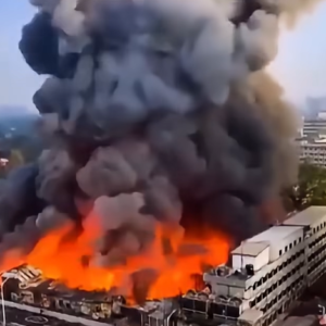 BREAKING NEWSJust hours ago, a tremendous fire broke out in…See more.