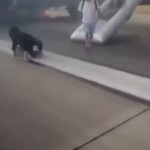 Officials Continue Investigation After Major Aviation Incident as Emergency Response Efforts Unfold