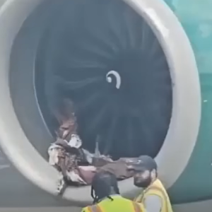 Charlotte Airport Faces Flight Delays Following an Airline Incident
