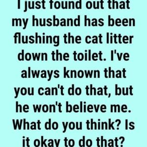 6 Things To Avoid Flushing Down The Toilet (And How to Keep Your Plumbing Happy)