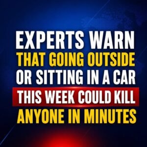 Just 10 MINUTES in a car can be deadly as millions set to roast under scorching heat across 27 states for days